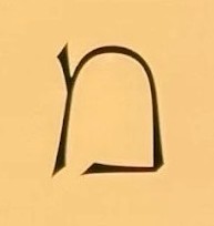 רונן ש.